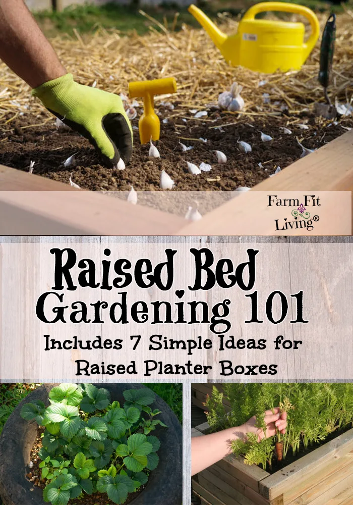 raised bed gardening 101