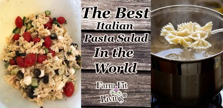 Best Wonderful Italian Pasta Salad in the World