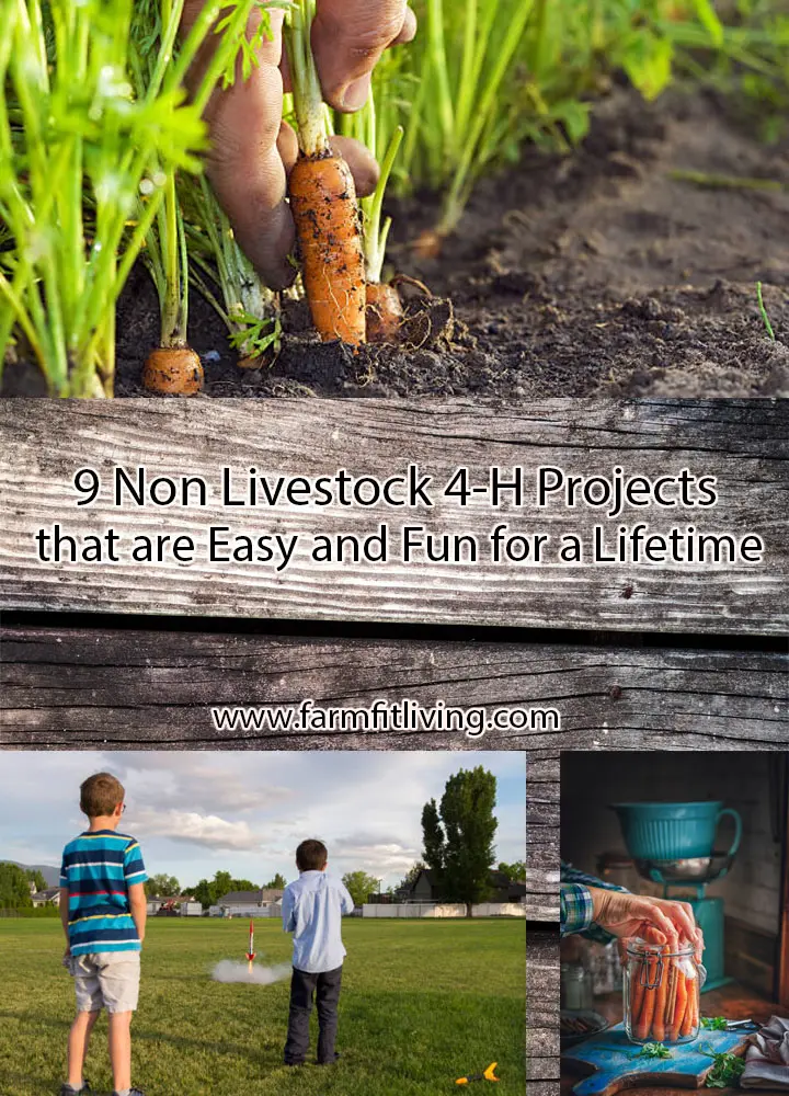 non livestock 4-H Projects