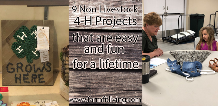 non livestock 4-H projects