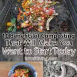 10 Benefits of Composting