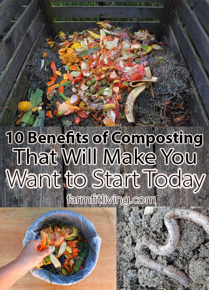 10 Benefits of Composting