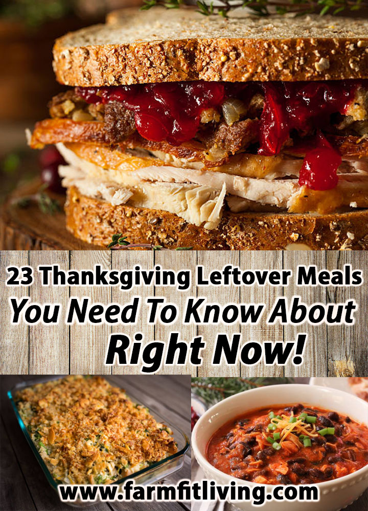 23 Tasty Thanksgiving Leftovers You Need To Know About Right Now