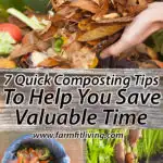 7 Quick Composting Tips to Help You Save Valuable Time