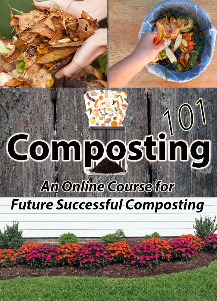 quick composting tips