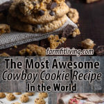 The Most Awesome Cowboy Cookie Recipe in the world
