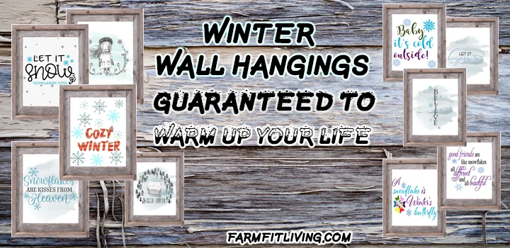 Winter Wall Hangings Guaranteed to warm up your life