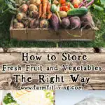 How to Store Fresh Fruits and Vegetables the Right Way