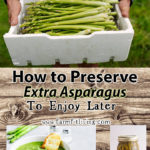 How to Preserve Extra Asparagus
