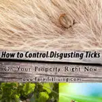 how to control disgusting ticks
