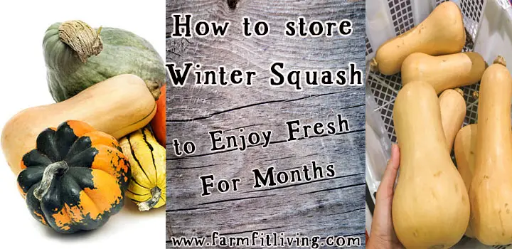 how to store winter squash