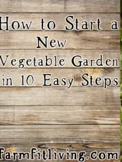 start a new vegetable garden