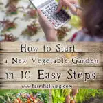 start a new vegetable garden