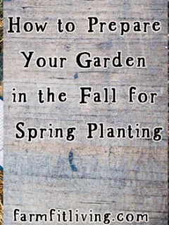 how to prepare your garden in the fall