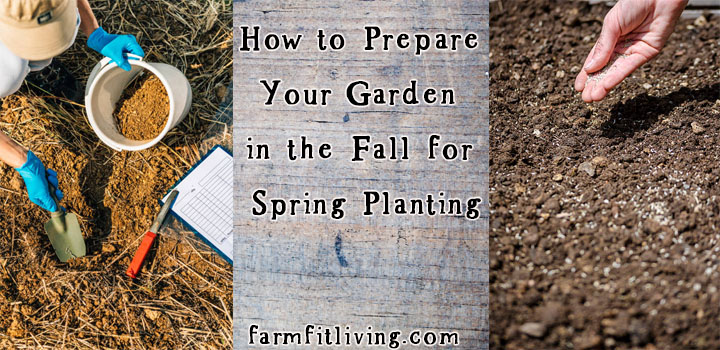 how to prepare your garden in the fall