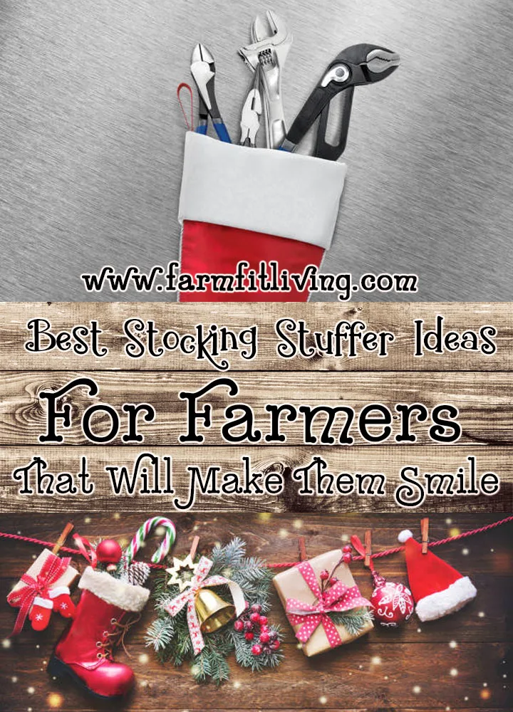  Mens Stocking Stuffers: Learn A Lot While You Sit On