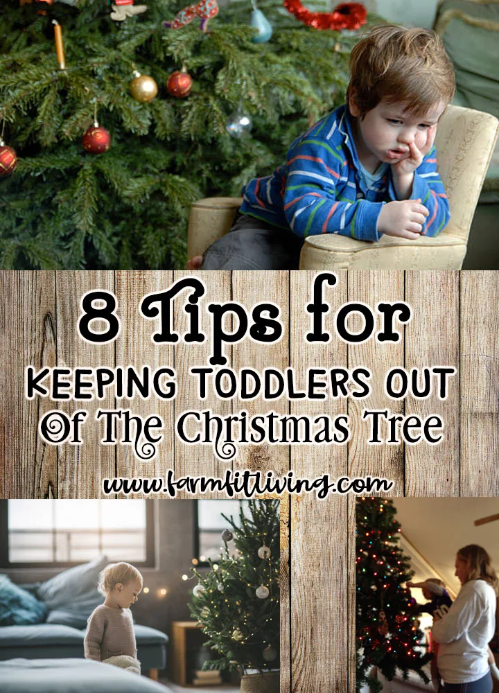 Keeping Toddlers Out of the Christmas Tree