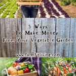 ways to make money from your vegetable garden