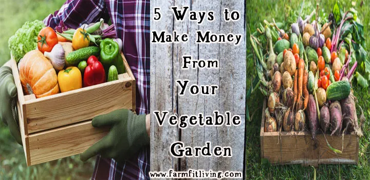 Ways to Make Money from Your vegetable garden