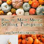 Make Money Selling Pumpkins