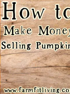 make money selling pumpkins