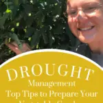 Secrets to Drought Proof Your Vegetable Garden