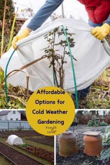 affordable options for cold weather gardening